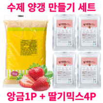 수제 양갱 만들기 재료 세트 영양갱 DIY 앙금1P+믹스4P 몰드, B-2. 백앙금1P + 딸기4P