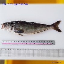 주문진 산지직송 비늘까지 깨끗히 손질한 자연산 임연수2마리(34-35cm), 2마리, 34-35cm(400g마리당)