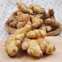 충남 서산 전영운의 22년산 햇생강 1kg, 01번 생강 1kg
