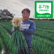 산지직송 유기농 대파 노지 진도대파 3kg 5kg 10kg 흙대파, 겉에 노란부분 손질 x