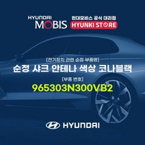 현대모비스 순정 샤크 안테나 색상 코나블랙 (965303N300VB2), 1개