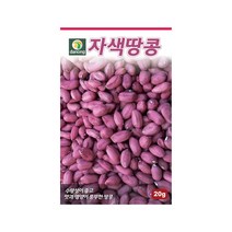 모두다 다농 채소씨 다농자색땅콩(20g)