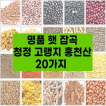 국산 햇 잡곡 20종 고랭지 강원도 홍천산 잡곡 참깨 수수쌀 호랑이줄단콩 약콩 서리태 적두 들깨 능근옥수수 밤쌀 백태 볶음땅콩 깐녹두 둥굴래 자연산, 햇잡곡:9.참깨500g