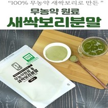 [100% 무농약 인증] 전남 나주 청정 새싹보리분말 300g 무농약새싹보리 새싹보리가루 건강분말 항암 효과 좋은 음식 콜레스테롤 낮추는 건강 식품 해독식품 천식 예방 면역력 강화, 새싹보리분말(노지재배), 3개