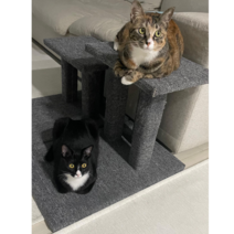 KADY 고양이 카페트 계단 스크래쳐 놀이터 캣타워, 1개, 에센브라운, 45cm