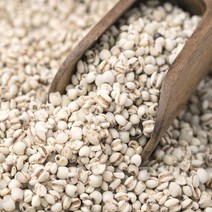 자연나라닷컴 율무 1kg 율무쌀 율무차 의이인 율무잡곡 생율무 국내산