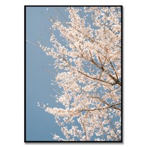 제주 꽃 2 시즈닝 그라피 작가 아름다운 제주도의 풍경 아날로그 감성 필름 벚꽃 사진 작품 풍수 인테리어액자, 클래식 골드 알루미늄 프레임
