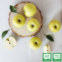 [이슬마루] 황금사과 시나노골드 3kg(10~12과), 단품