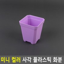 미니 사각 플라스틱 컬러 화분 소형 어린이집 화단 꾸미기 체험 교구 다육이 7x8cm 소 퍼플