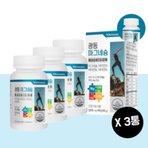 마그네슘 비타민B6 영양제 마그내슘 단일제 마그네숨 보충제 산화마그네슘 300 400 마그네시움 MAGNESIUM 마그네슘제 90set, x3, 90days
