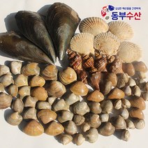 조개세트 2kg 4kg 조개구이 조개모듬 캠핑조개, 어메이징 조개세트 4kg내외