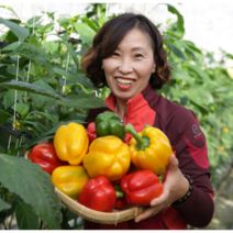 산지직영 가정용 못난이 빨강 노랑 햇파프리카 3kg 5kg, 가정용 5kg, 1박스