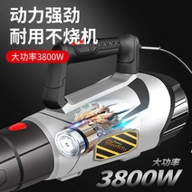 무선송풍기 낙엽청소 세차블로어 강력한 포터블 3800W 고전력 폭풍 팬 산업용 송풍기 전기 먼지 제거 청소, [03] 3800W 강력 송풍기 + 30m 와이어