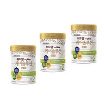 파스퇴르 위드맘 케어솔루션 골드 2단계 750g x 3캔