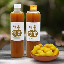 내몸생강 프리미엄 수제 생강청 650g (500ml) 국내산 무제초제 햇생강 저온착즙 생강차, 가정용500ml