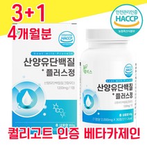 네덜란드 산양유 단백질 해썹 사양유 산야유 상양유 60% 베타 미셀라 카제인 담백질 분리 유청 단백 WPI 고함량 고순도 프로틴 프로테인 유청 칼슘 BCAA 퀄리고트 알약 물과함께, 3+1 4개월분 - 다니마켓