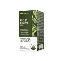 내츄럴플러스 차태현 위건강 헬리코박터케어 60정 / 감초추출물 위점막보호, 60정(1개월) x 4개