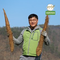 [안동직송] GAP인증받은 안동 장마(특상품) 2kg/3kg/5kg, 3kg