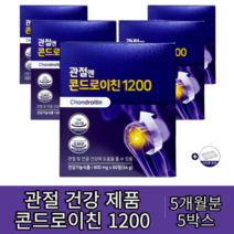 콘드로이친 1200 900mg x 60정 소연골 손목 발목 무릎 콘드로친 콘드리친 콘드로이드 무릎영양제 부모님 아버님 중년여성 알약케이스증정, 6박스-(6개월분)-인기