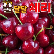 프리미엄 생체리 체리 500g 1kg