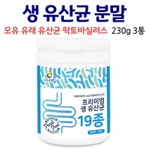 모유 유산균 락토바실러스 가세리 분말 생유산균 키즈유산균 프로바이오틱스 루테리 모유유래유산균 어른 성인 남성 여성 냉장보관 X, 3통, 230g