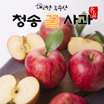 청송 사과 선물세트 설선물 명절선물 세트 꿀사과 부사 사과직거래 5kg 10kg, 고급 사과선물세트 10kg