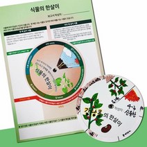 DIY 식물 관찰 한살이 보고서 키트 5인 돌봄 수업 실습 병원 교구 의학 교재 창의 원리 방과후