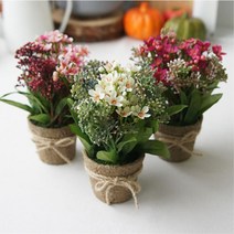 주방꾸미기 미니 꽃화분 창문장식 3종택1 소품촬영 실내꽃장식 예쁜조화 집, 꽃 화이트