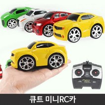 큐트 미니 RC카 자동차놀이 교통안전교육 어린이날선물, 색상랜덤