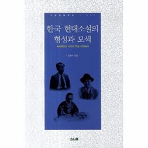 한국 현대소설의 형성과 모색, 상품명