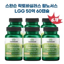 락토바실러스 람노서스 LGG 60캡슐 X 6개
