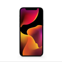 아이폰 12 64GB 128GB 256GB 5G 정품 자급제, 랜덤