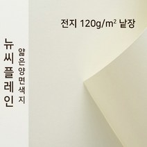 뉴씨플레인 종이문화 얇은 양면색지 120g 전지 낱장 1매 No.51 백색, 1장