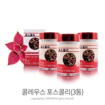 슈퍼푸드 콜레우스 포스콜리 정(500mgx80알) 빨간맛 콜레우스포스콜리 추출물, 80정, 3개