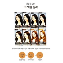 댕이몰 꽃을든남자 염색약 8종류, 진한흑갈색