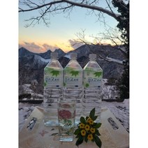 청정지역 울릉도 산천초목의 우산고로쇠, 9병