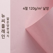 뉴씨플레인 종이문화 얇은 양면색지 120g 4절 낱장 1매 No.09 코스모스핑크, 1장