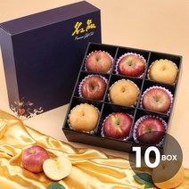 초록자연 명품 혼합 3호 과일선물세트(10개입), 1개