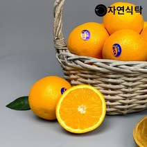 [자연식탁]고당도 네이블 오렌지 20과 중과(개당 200g내외), 단품