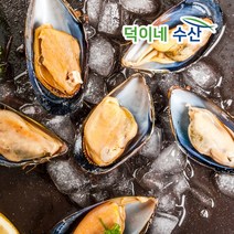 [당일조업] 홍합5K 산지직송 홍합탕 홍합미역국 홍합효능 홍합보관법 깐홍합 홍합손질 홍합요리 여수홍합 마산홍합 홍합살 생홍합 피홍합