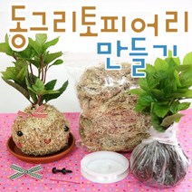 동그리토피어리만들기/토피어리재료/만들기/DIY, A 동그리(식물없음), 1개