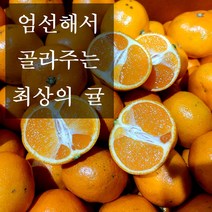 최상의맛 프리미엄 제주 고당도 감귤, 맛그레이드 귤 2.5kg (2s~m)