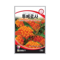 모칸도 (무배)세계 투베로사 꽃씨 50립