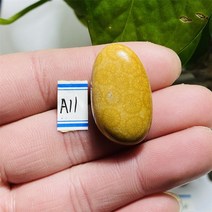 천연 산호석 화석 광물 미니 크리스탈 차크라 스톤 에너지 힐링, a11 9.8g 30mm
