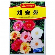 (아시아종묘/꽃씨앗) 채송화(5000립)