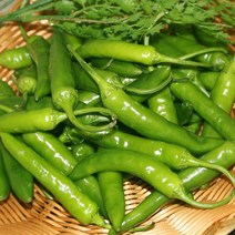 청양고추(상) 5kg 1박스 자연대로팜웨이