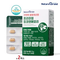 징코 앤메모리 징코빌로바 기억력 혈행 개선 영양제 은행잎 추출물 포스파티딜세린 정 식약처인증, 2개, 30정