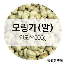 ppp 모링가열매 알 인도산 500g자연식, 1개, 1