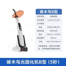 LED 치과 감광 B형 광중합기 치료 전문가 레진 램프 3초, 1. B형(5초)