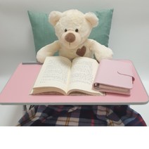 각도조절 높이조절 접이식 소형 좌식 침대 책상 테이블 노트북 베드트레이 이동식, 베이지